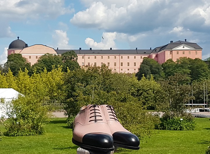 10 Upsala with Castle wide.jpg